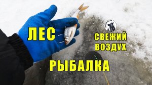 ЛЕС, свежий воздух, РЫБАЛКА
