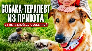 От ненужной до особенной! Удивительная история собаки-терапевта из приюта!