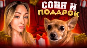 Соня и подарок