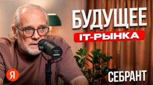 КРИЗИС РЫНКА ТРУДА в 2025 году! В будущее возьмут не всех. Андрей Себрант, Яндекс