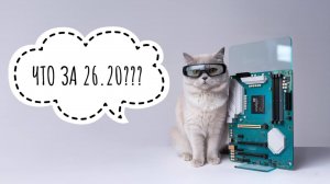 КАК ОБМАНЫВАЮТ ГОСУДАРСТВО И С ЧЕМ Я БОРЮСЬ?