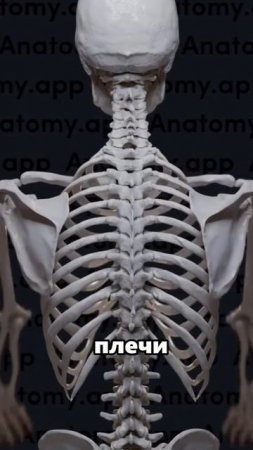 НАТАЛЬЯ ЗИМА. ПСИХОЛОГ ДЛЯ ЭКСПЕРТОВ И ПРЕДПРИНИМАТЕЛЕЙ.