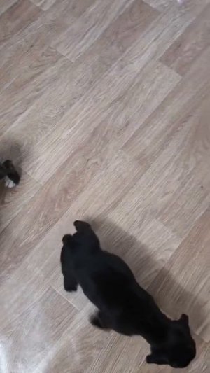1000001508.mp4